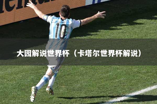 大园解说世界杯（卡塔尔世界杯解说）