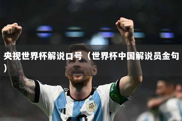 央视世界杯解说口号(世界杯中国解说员金句)
