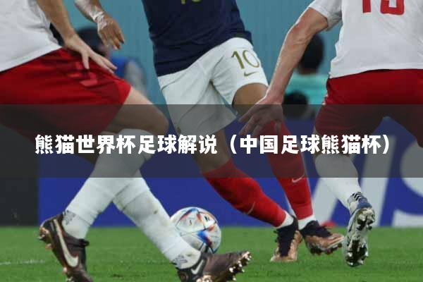 熊猫世界杯足球解说（中国足球熊猫杯）