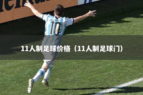 11人制足球价格（11人制足球门）