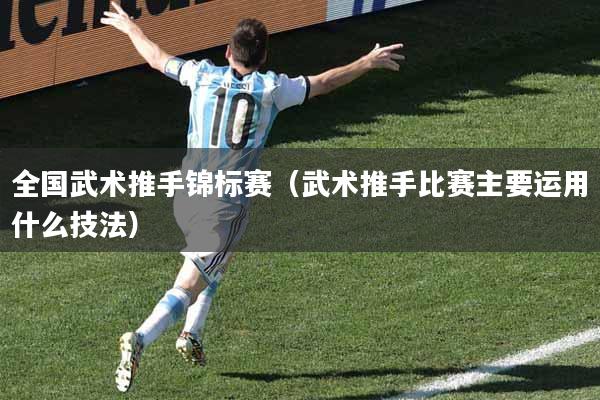 全国武术推手锦标赛(武术推手比赛主要运用什么技法)