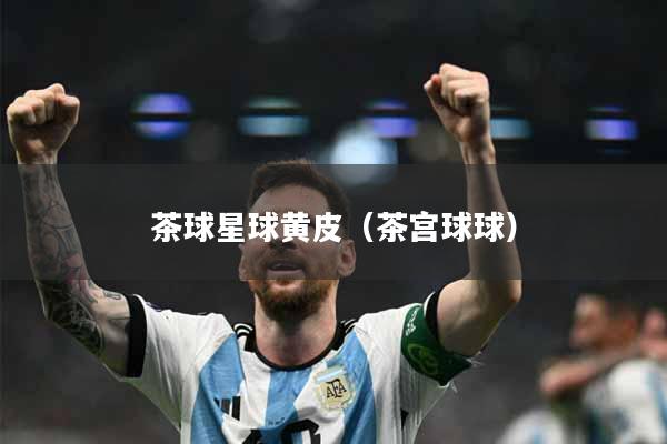 茶球星球黄皮（茶宫球球）