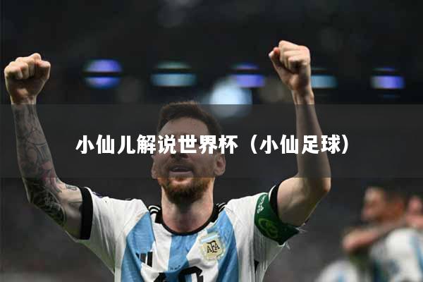 小仙儿解说世界杯（小仙足球）