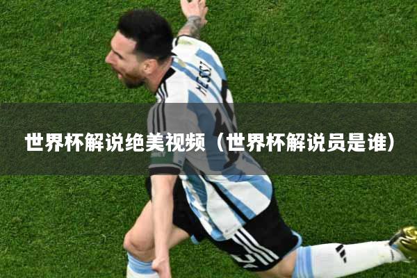 世界杯解说绝美视频（世界杯解说员是谁）