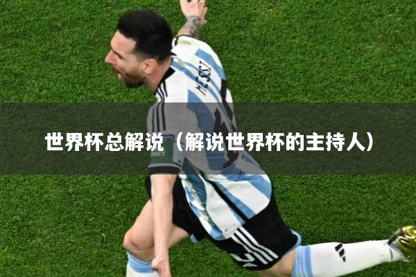 世界杯总解说（解说世界杯的主持人）